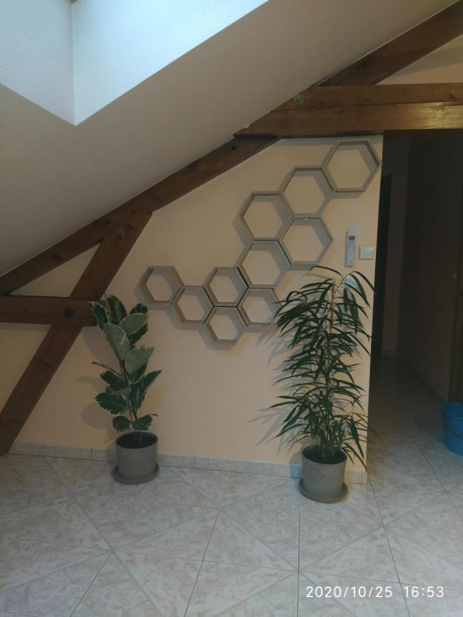 La Ruche Apartment *