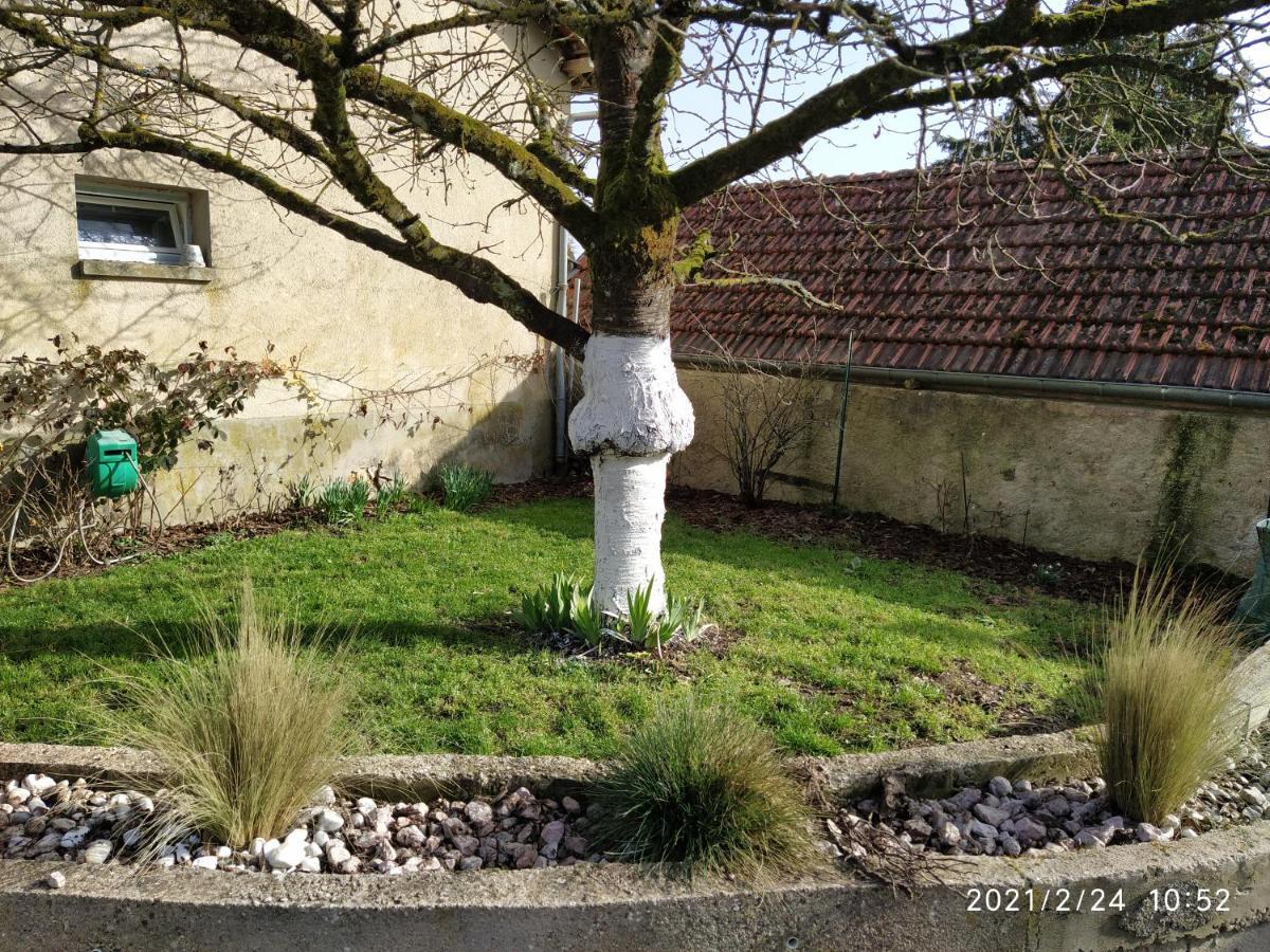 La Ruche * Morangis (Marne)