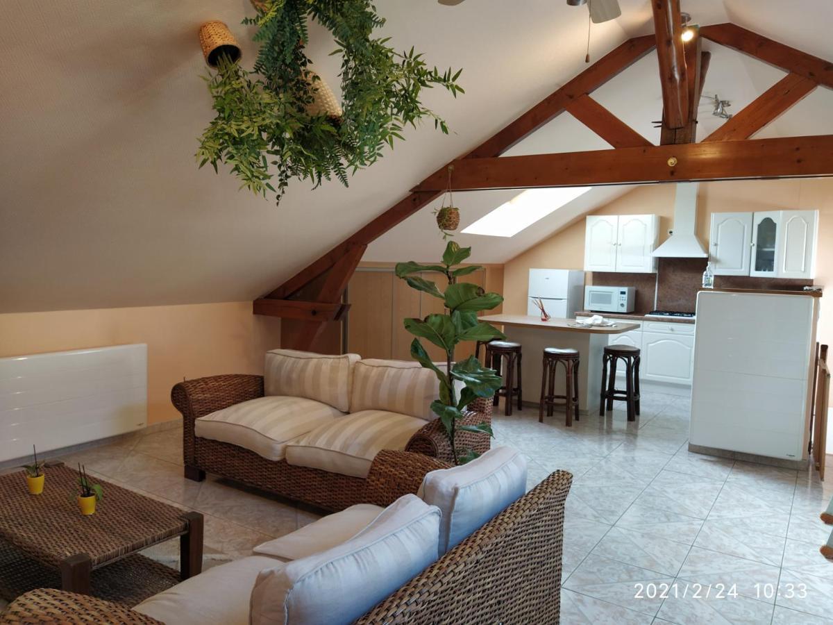 La Ruche Apartment